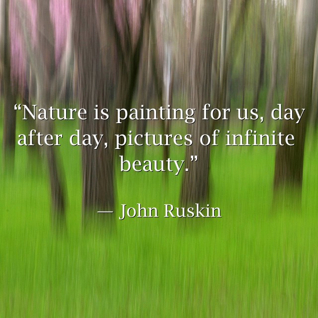 Nature-is-painting-for.jpg
