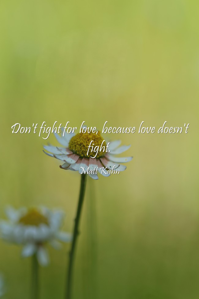 Dont-fight-for-love.jpg