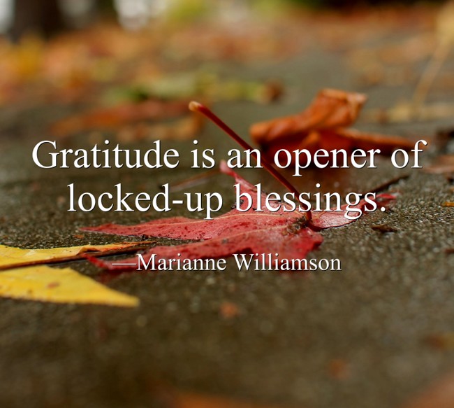 Gratitude-is-an-opener.jpg